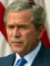 A picture named bush.jpg