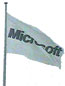 A picture named microsoft.jpg