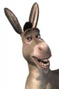A picture named donkey.jpg