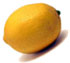 A picture named lemon.jpg