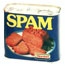 A picture named spam.jpg