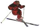 A picture named skier.gif