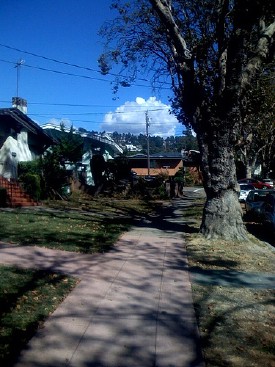 Cloud & tree