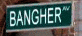 A picture named bangher.gif
