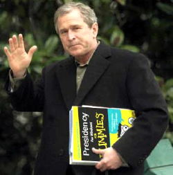 A picture named bush.jpg