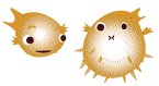 A picture named blowfish.gif